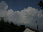 Cumulus congestus