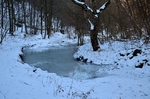 A befagyott patak